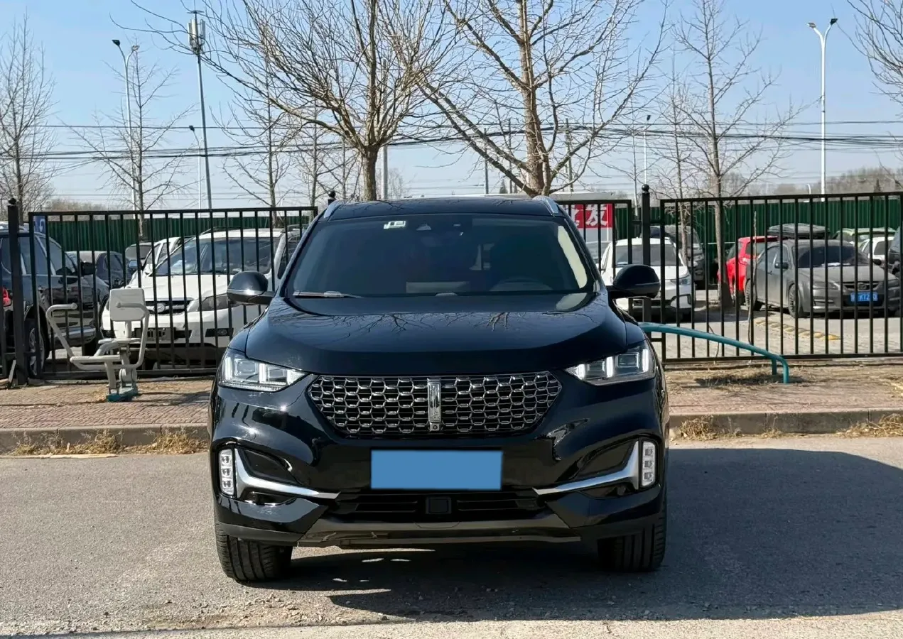 2020 WEY VV6 2.0T 227HP L4 7DCT,autocango,china used car exporter,china ev exporter,chinese used car exporter,chinese used ev exporter