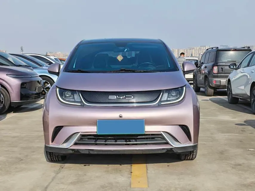 2023 BYD Dolphin BEV 44.928KWH,autocango,china used car exporter,china ev exporter,chinese used car exporter,chinese used ev exporter