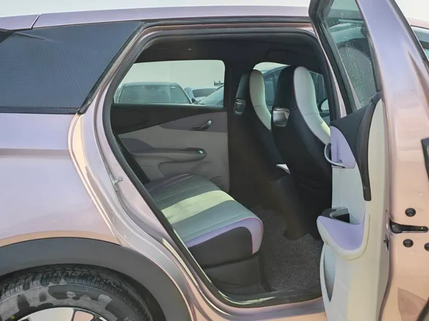 2023 BYD Dolphin BEV 44.928KWH,autocango,china used car exporter,china ev exporter,chinese used car exporter,chinese used ev exporter