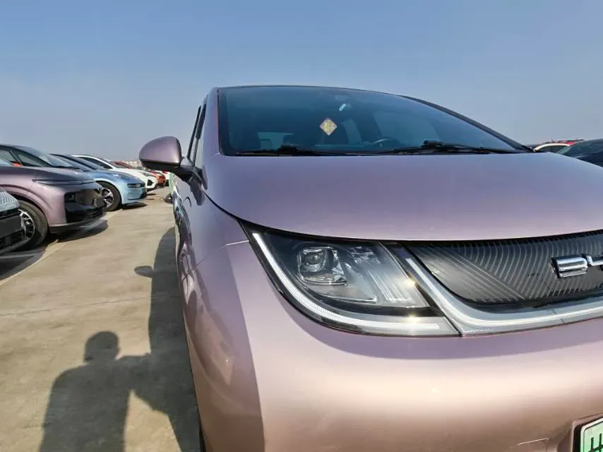 2023 BYD Dolphin BEV 44.928KWH,autocango,china used car exporter,china ev exporter,chinese used car exporter,chinese used ev exporter