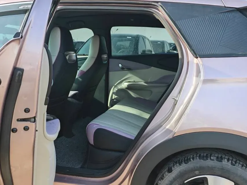 2023 BYD Dolphin BEV 44.928KWH,autocango,china used car exporter,china ev exporter,chinese used car exporter,chinese used ev exporter