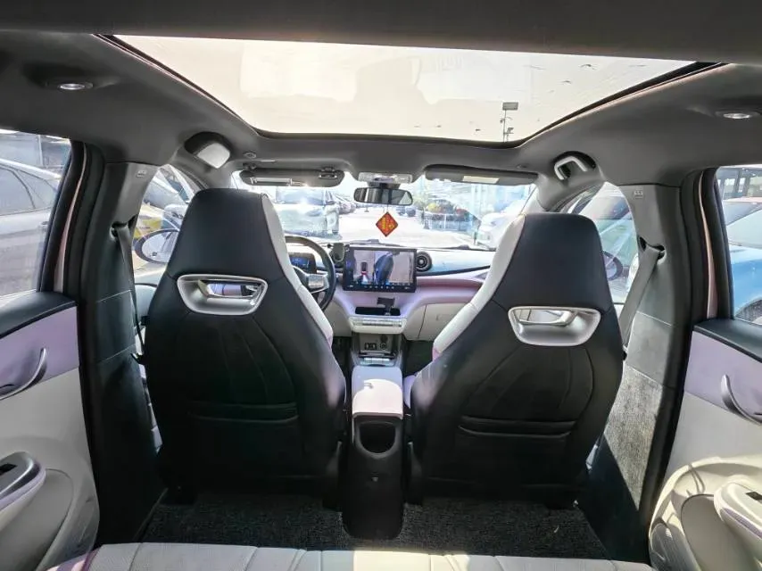 2023 BYD Dolphin BEV 44.928KWH,autocango,china used car exporter,china ev exporter,chinese used car exporter,chinese used ev exporter