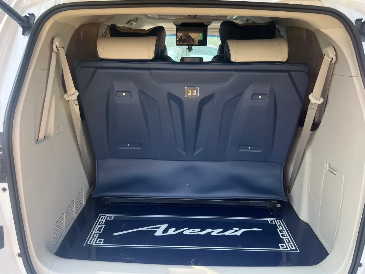 2021 Buick GL8 2.0T 237HP L4 9AT,autocango,china used car exporter,china ev exporter,chinese used car exporter,chinese used ev exporter