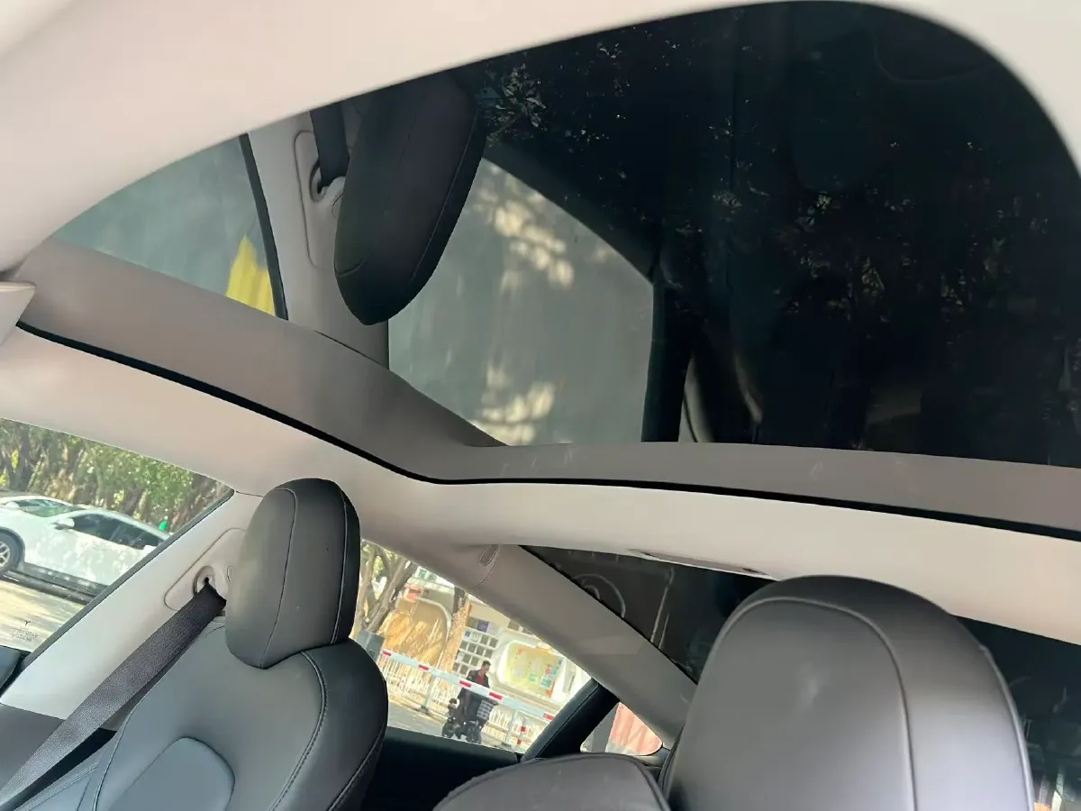 2020 Tesla Model 3 BEV 55KWH,autocango,china used car exporter,china ev exporter,chinese used car exporter,chinese used ev exporter