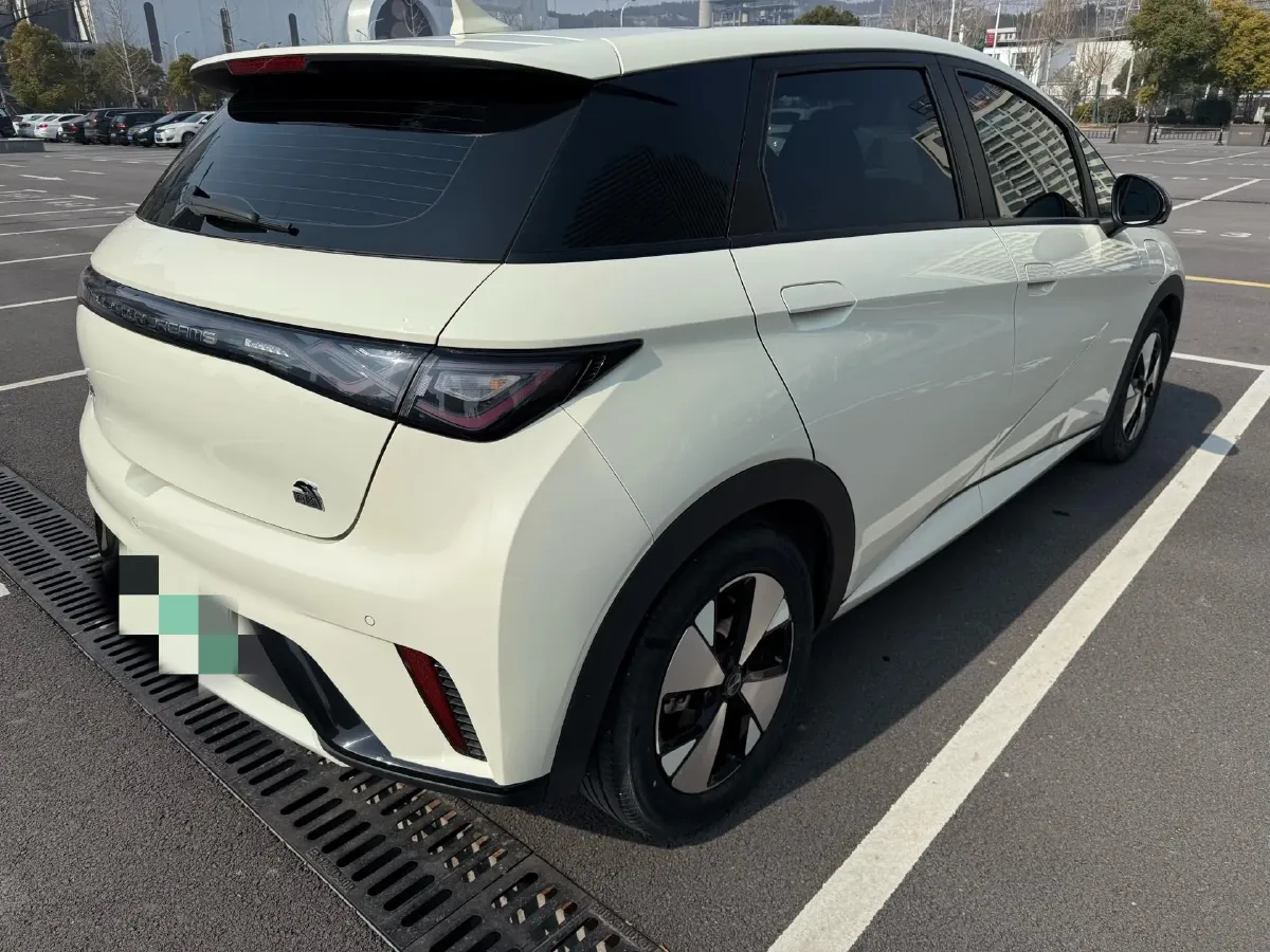 2023 BYD Dolphin BEV 44.928KWH,autocango,china used car exporter,china ev exporter,chinese used car exporter,chinese used ev exporter