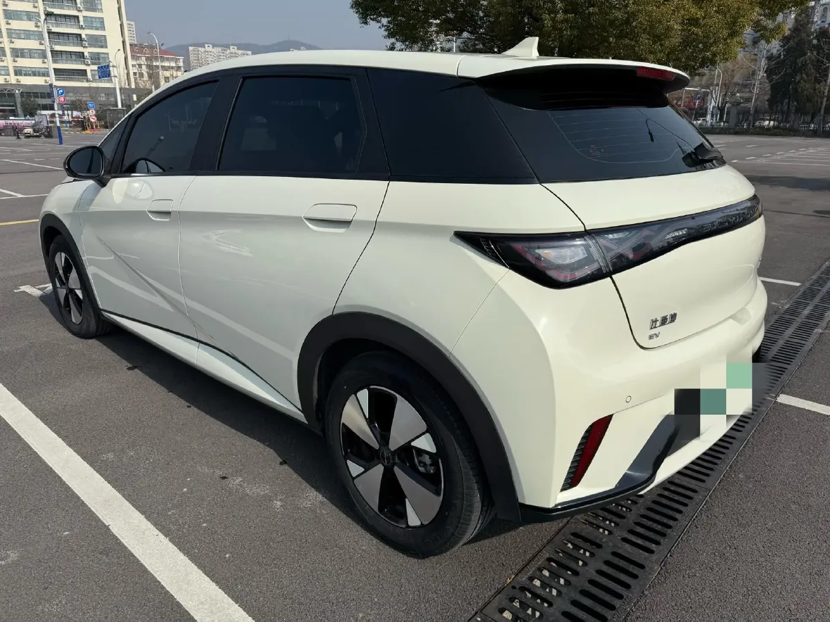 2023 BYD Dolphin BEV 44.928KWH,autocango,china used car exporter,china ev exporter,chinese used car exporter,chinese used ev exporter