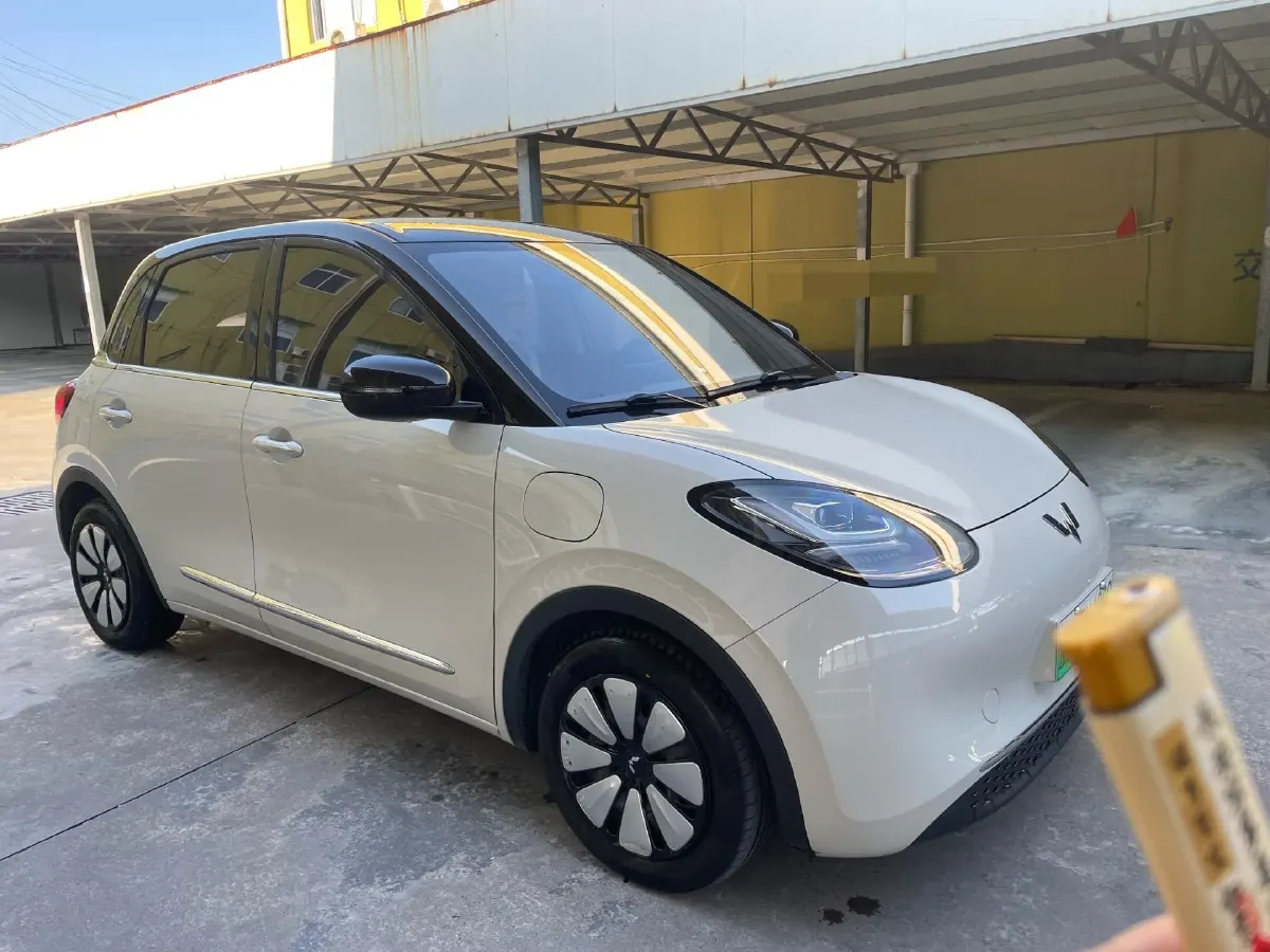2024 WuLing BinGuo BEV 31.9KWH,autocango,china used car exporter,china ev exporter,chinese used car exporter,chinese used ev exporter
