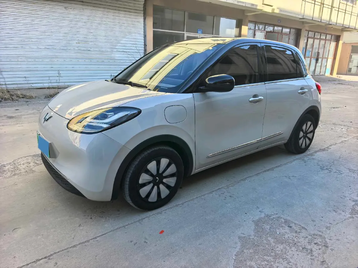 2024 WuLing BinGuo BEV 37.9KWH,autocango,china used car exporter,china ev exporter,chinese used car exporter,chinese used ev exporter