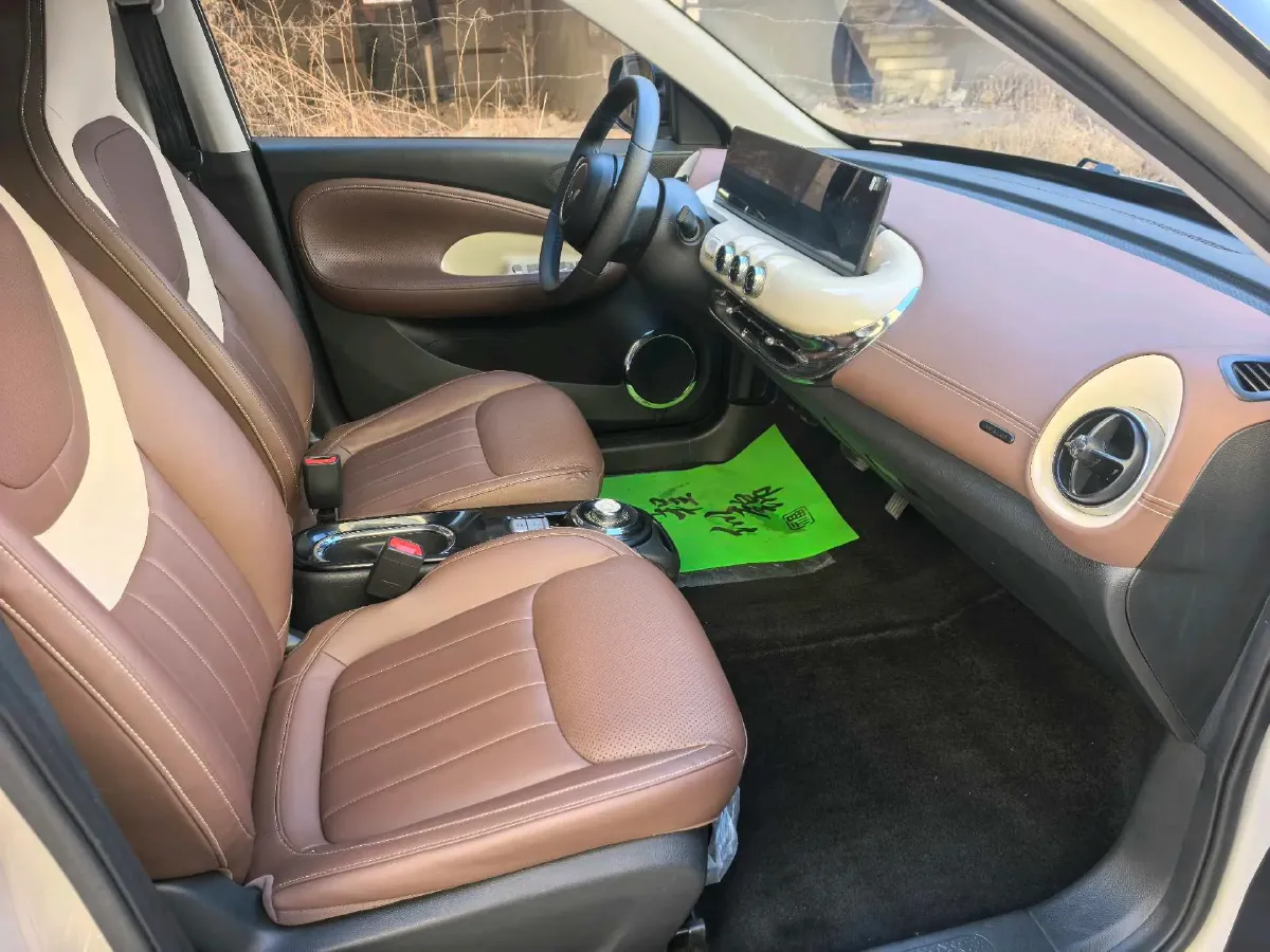 2024 WuLing BinGuo BEV 37.9KWH,autocango,china used car exporter,china ev exporter,chinese used car exporter,chinese used ev exporter