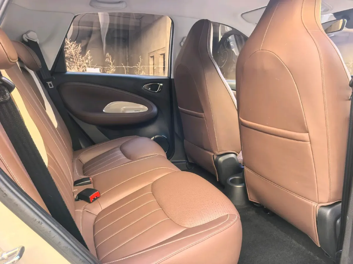 2024 WuLing BinGuo BEV 37.9KWH,autocango,china used car exporter,china ev exporter,chinese used car exporter,chinese used ev exporter