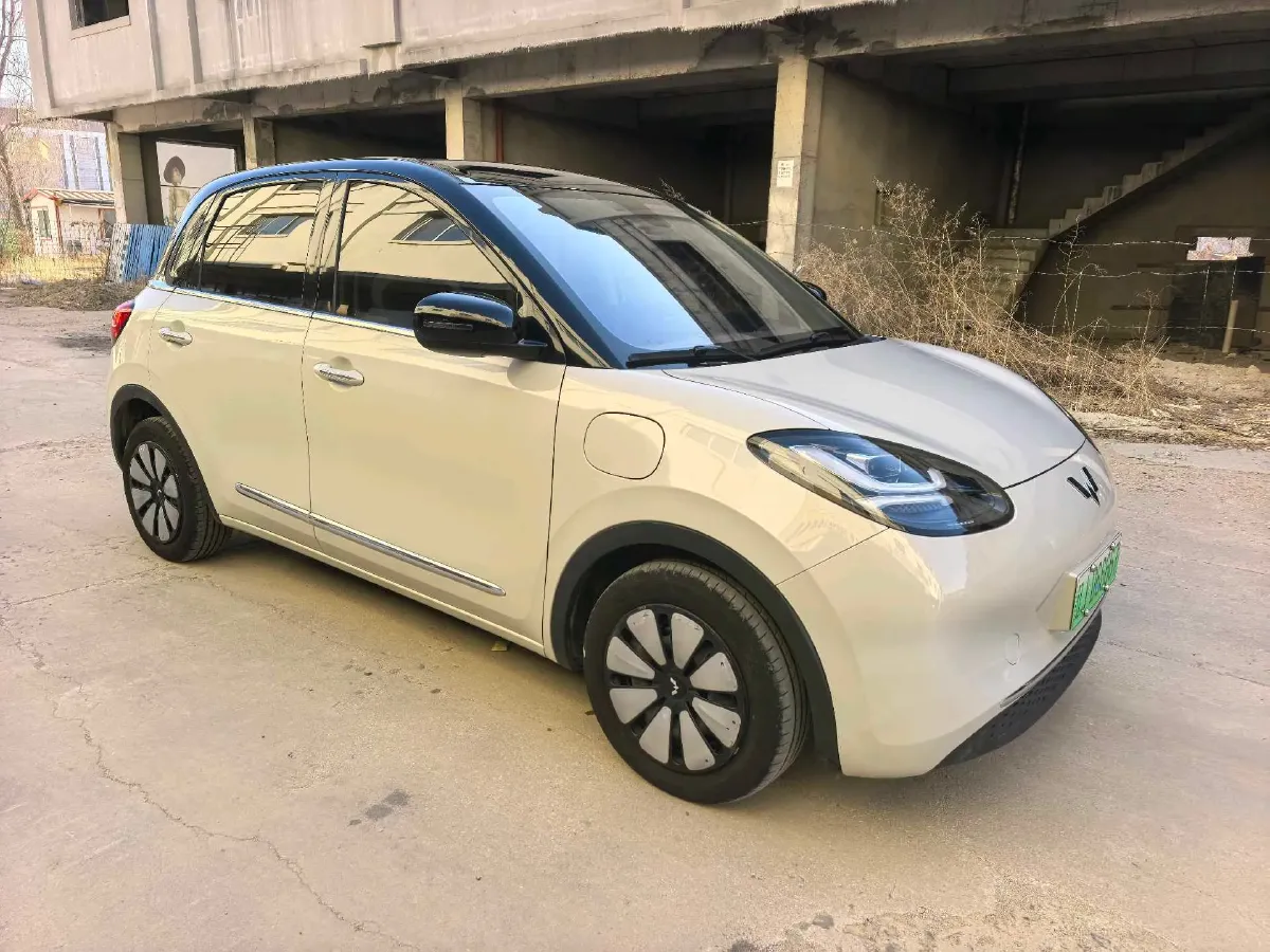 2024 WuLing BinGuo BEV 37.9KWH,autocango,china used car exporter,china ev exporter,chinese used car exporter,chinese used ev exporter