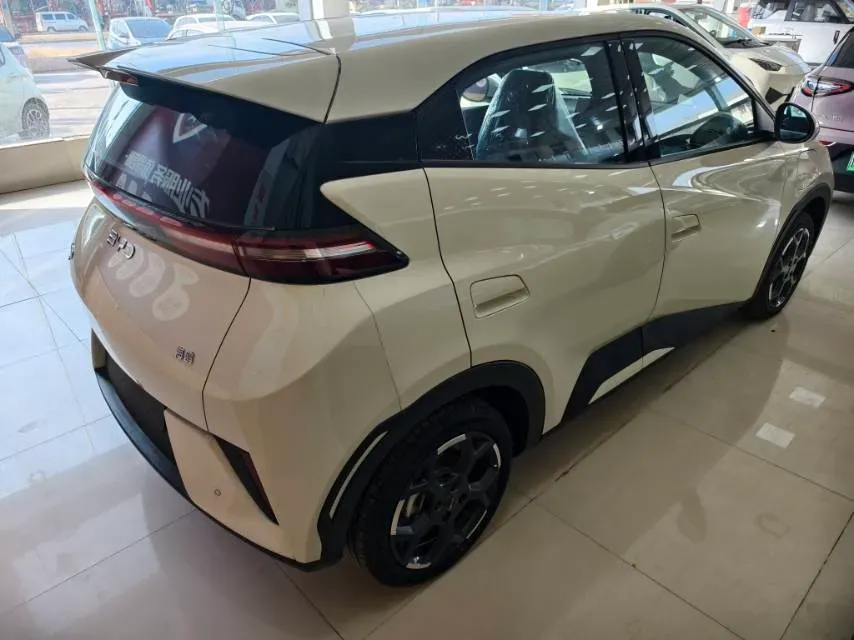 2025 BYD Seagull BEV,autocango,china used car exporter,china ev exporter,chinese used car exporter,chinese used ev exporter