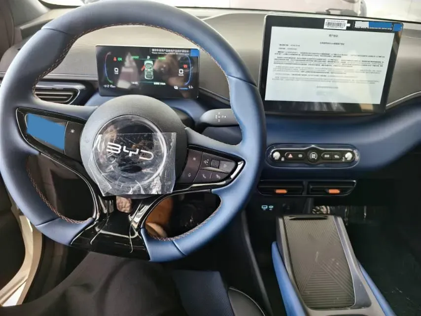 2025 BYD Seagull BEV,autocango,china used car exporter,china ev exporter,chinese used car exporter,chinese used ev exporter