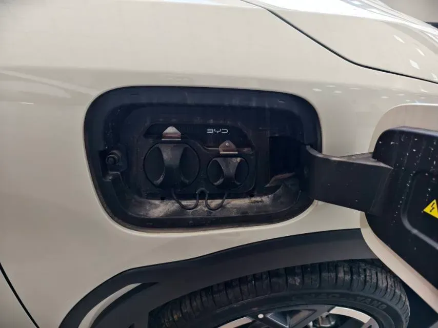 2025 BYD Seagull BEV,autocango,china used car exporter,china ev exporter,chinese used car exporter,chinese used ev exporter