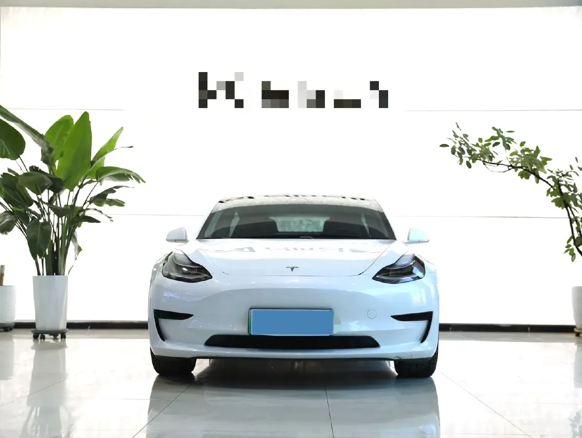 2020 Tesla Model 3 BEV 76.8KWH,autocango,china used car exporter,china ev exporter,chinese used car exporter,chinese used ev exporter