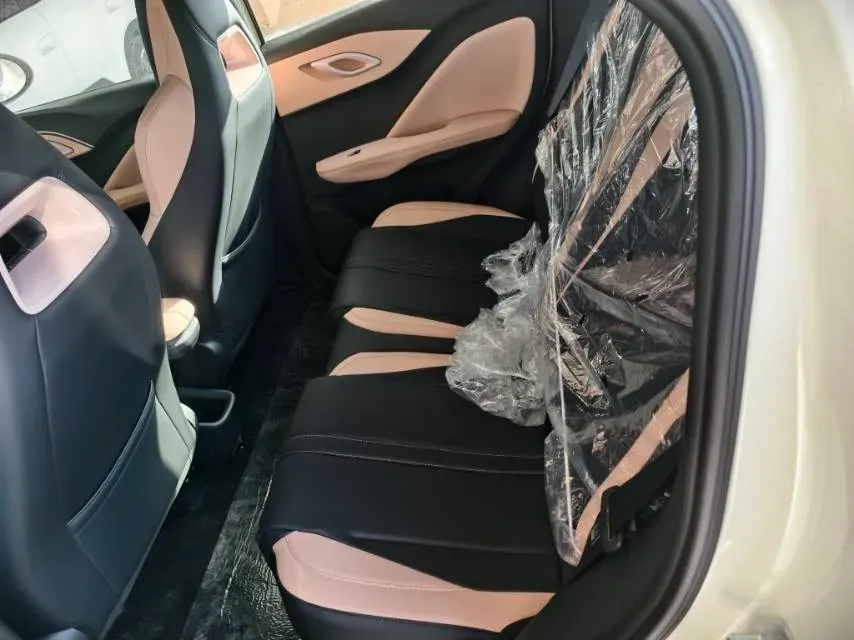 2025 BYD Seagull BEV 30.08KWH,autocango,china used car exporter,china ev exporter,chinese used car exporter,chinese used ev exporter