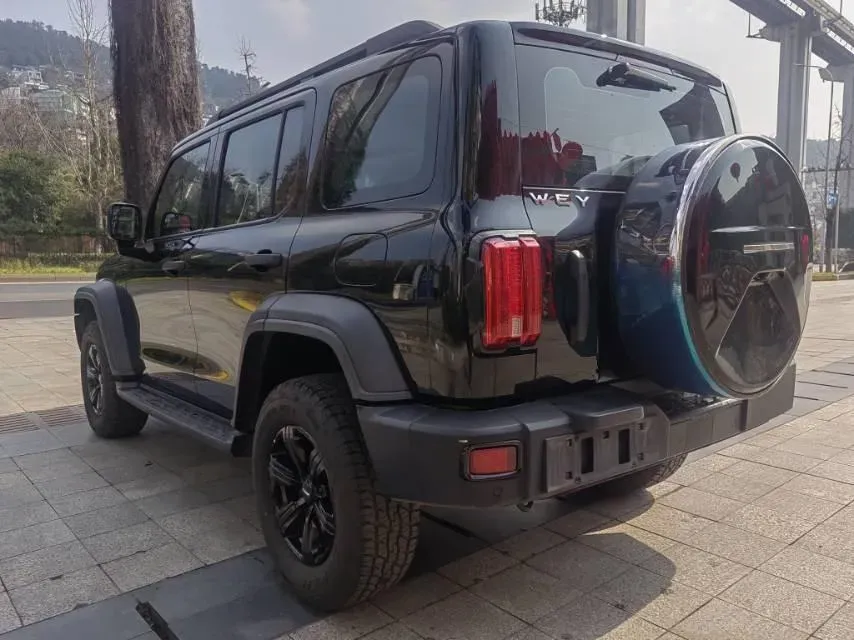 2021 Tank 300 2.0T 227HP L4 8AT,autocango,china used car exporter,china ev exporter,chinese used car exporter,chinese used ev exporter