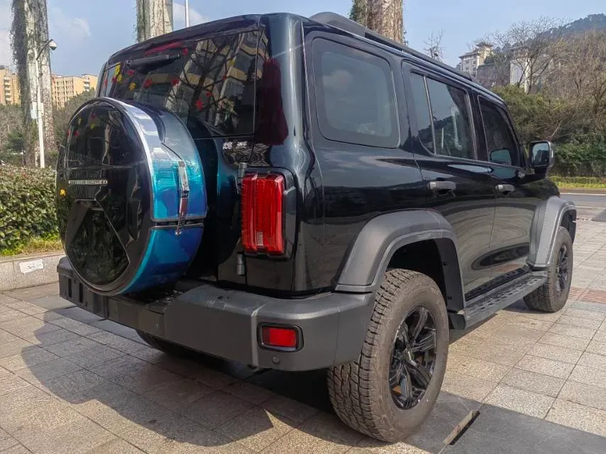 2021 Tank 300 2.0T 227HP L4 8AT,autocango,china used car exporter,china ev exporter,chinese used car exporter,chinese used ev exporter