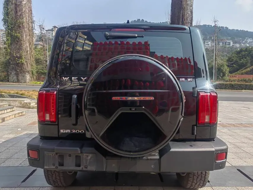 2021 Tank 300 2.0T 227HP L4 8AT,autocango,china used car exporter,china ev exporter,chinese used car exporter,chinese used ev exporter