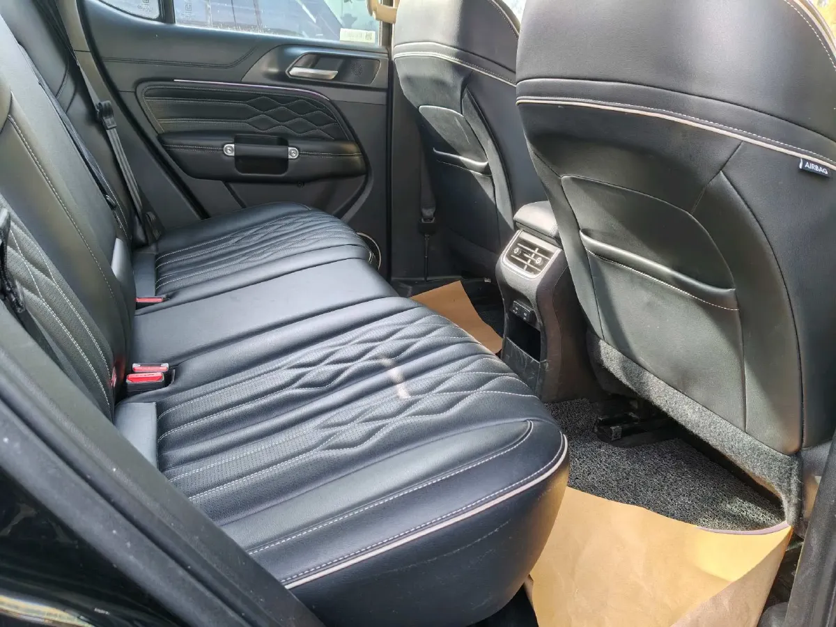 2023 Tank 300 2.0T 227HP L4 8AT,autocango,china used car exporter,china ev exporter,chinese used car exporter,chinese used ev exporter