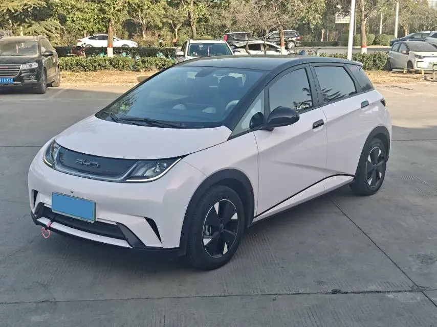 2023 BYD Dolphin BEV 44.928KWH,autocango,china used car exporter,china ev exporter,chinese used car exporter,chinese used ev exporter