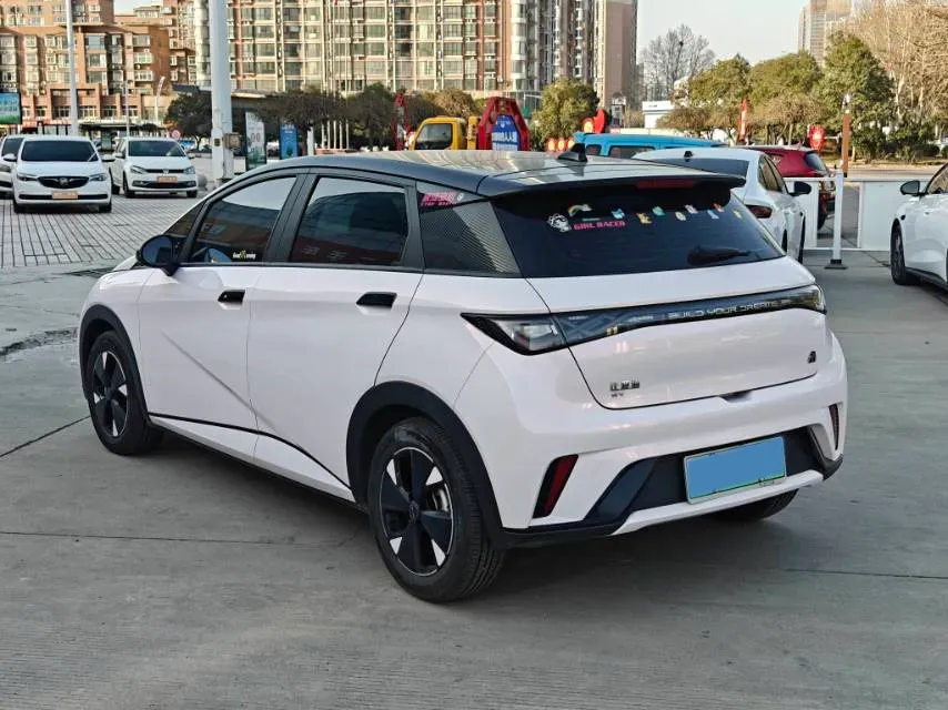 2023 BYD Dolphin BEV 44.928KWH,autocango,china used car exporter,china ev exporter,chinese used car exporter,chinese used ev exporter