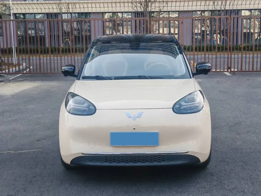 2025 WuLing BinGuo BEV,autocango,china used car exporter,china ev exporter,chinese used car exporter,chinese used ev exporter
