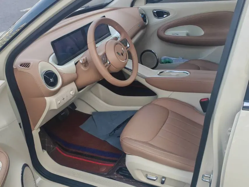 2025 WuLing BinGuo BEV,autocango,china used car exporter,china ev exporter,chinese used car exporter,chinese used ev exporter