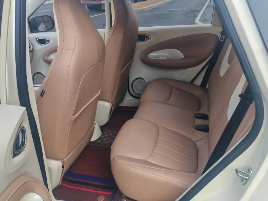 2025 WuLing BinGuo BEV,autocango,china used car exporter,china ev exporter,chinese used car exporter,chinese used ev exporter