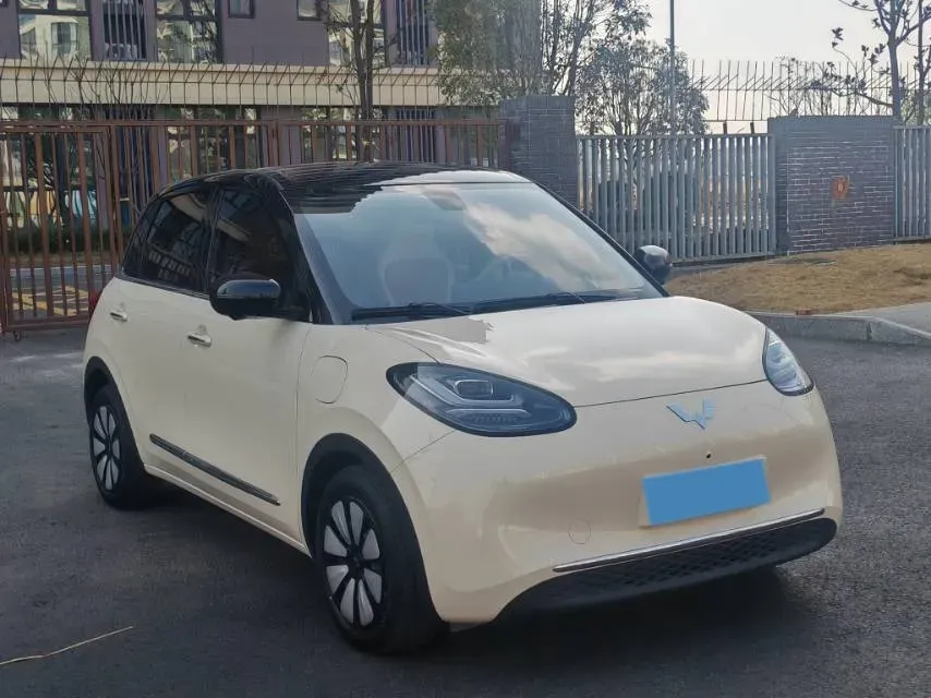 2025 WuLing BinGuo BEV,autocango,china used car exporter,china ev exporter,chinese used car exporter,chinese used ev exporter