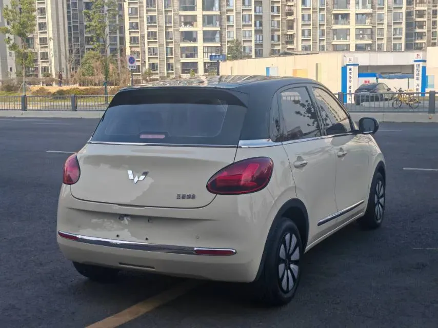 2025 WuLing BinGuo BEV,autocango,china used car exporter,china ev exporter,chinese used car exporter,chinese used ev exporter
