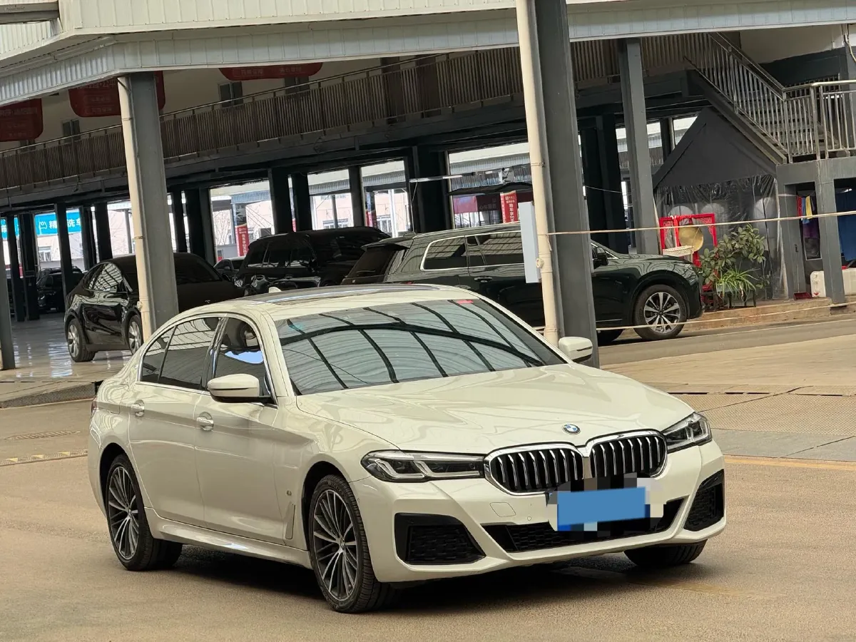 2021 BMW 5 Series 2.0T 252HP L4 8AT,autocango,china used car exporter,china ev exporter,chinese used car exporter,chinese used ev exporter