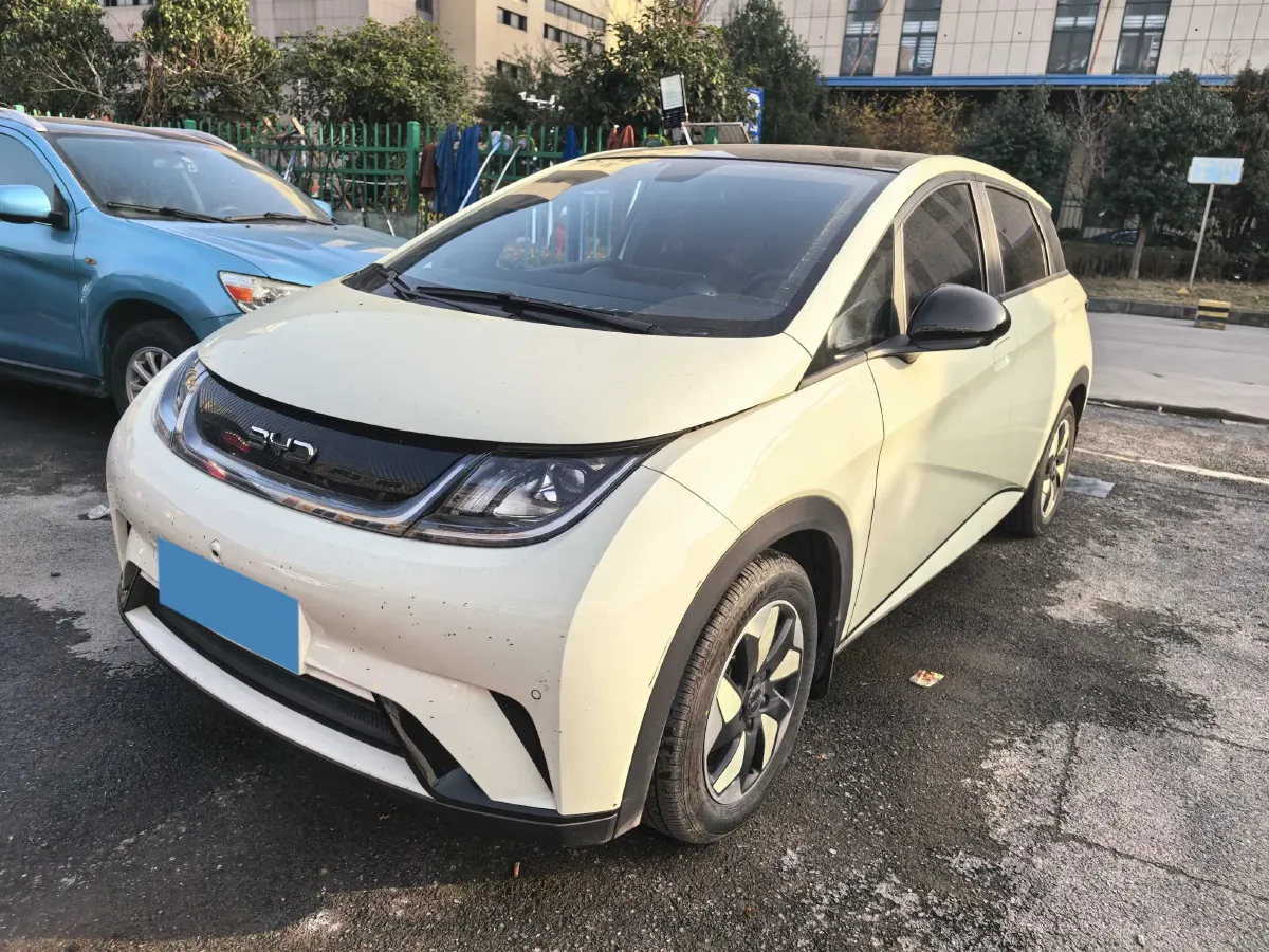2024 BYD Dolphin BEV 44.928KWH,autocango,china used car exporter,china ev exporter,chinese used car exporter,chinese used ev exporter