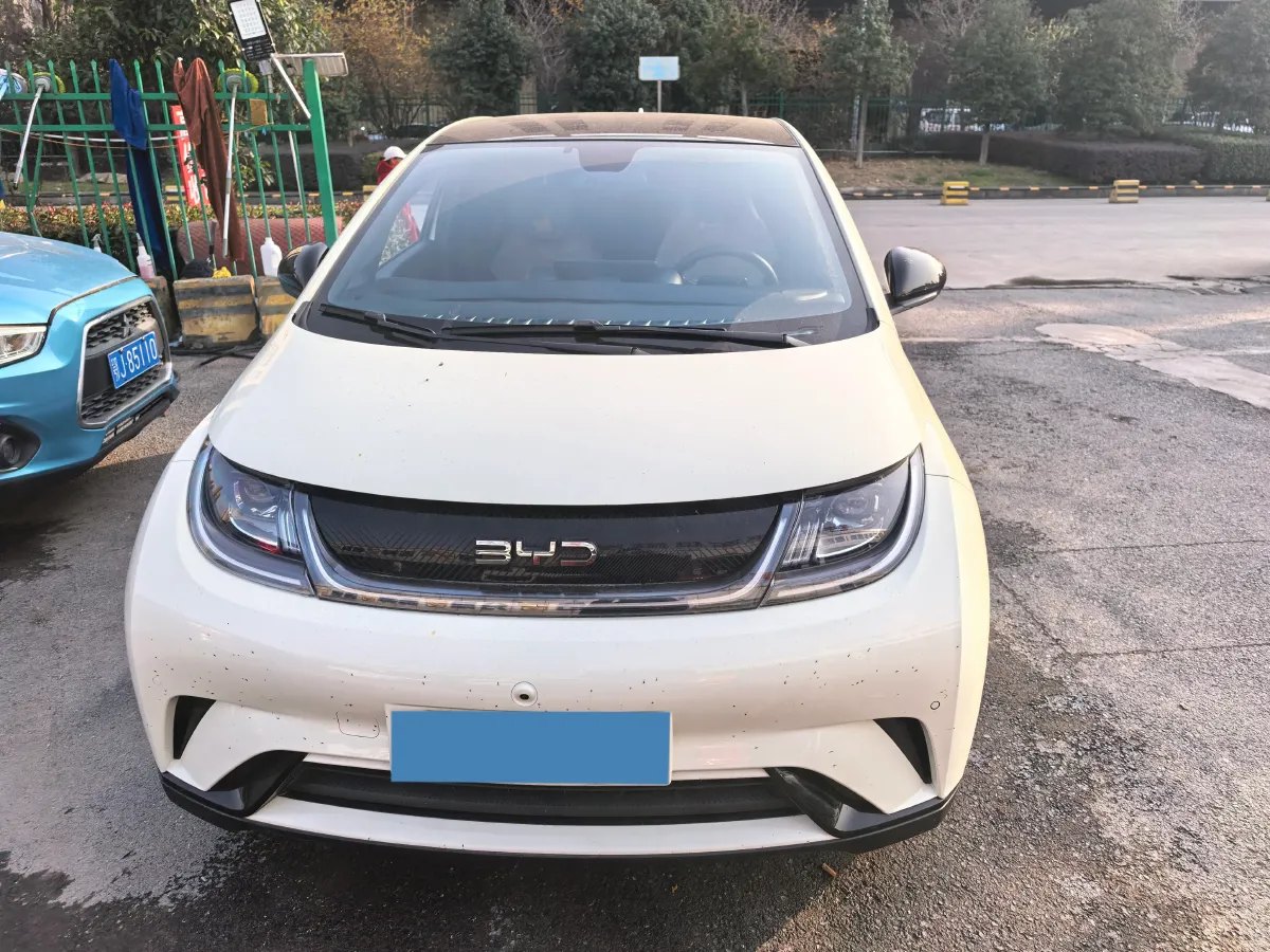 2024 BYD Dolphin BEV 44.928KWH,autocango,china used car exporter,china ev exporter,chinese used car exporter,chinese used ev exporter