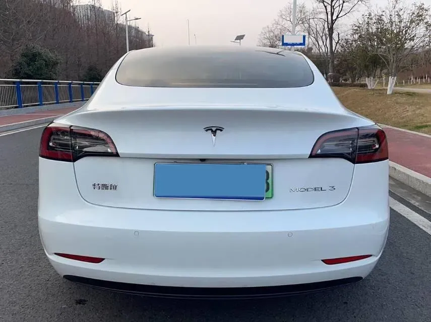 2021 Tesla Model 3 BEV 55KWH,autocango,china used car exporter,china ev exporter,chinese used car exporter,chinese used ev exporter