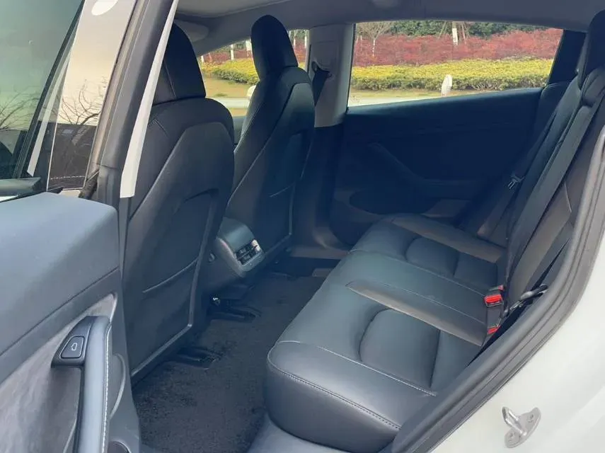 2021 Tesla Model 3 BEV 55KWH,autocango,china used car exporter,china ev exporter,chinese used car exporter,chinese used ev exporter