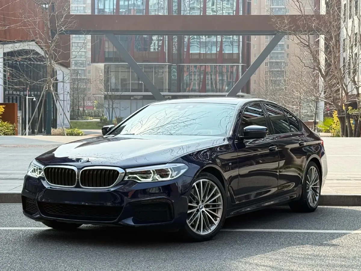 2020 BMW 5 Series 2.0T 252HP L4 8AT,autocango,china used car exporter,china ev exporter,chinese used car exporter,chinese used ev exporter