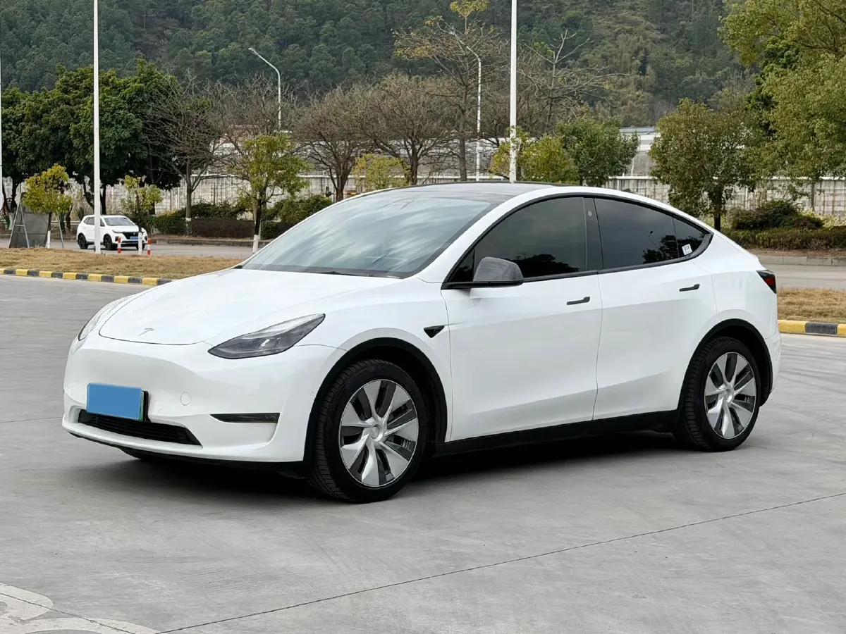 2021 Tesla Model Y BEV 60KWH,autocango,china used car exporter,china ev exporter,chinese used car exporter,chinese used ev exporter