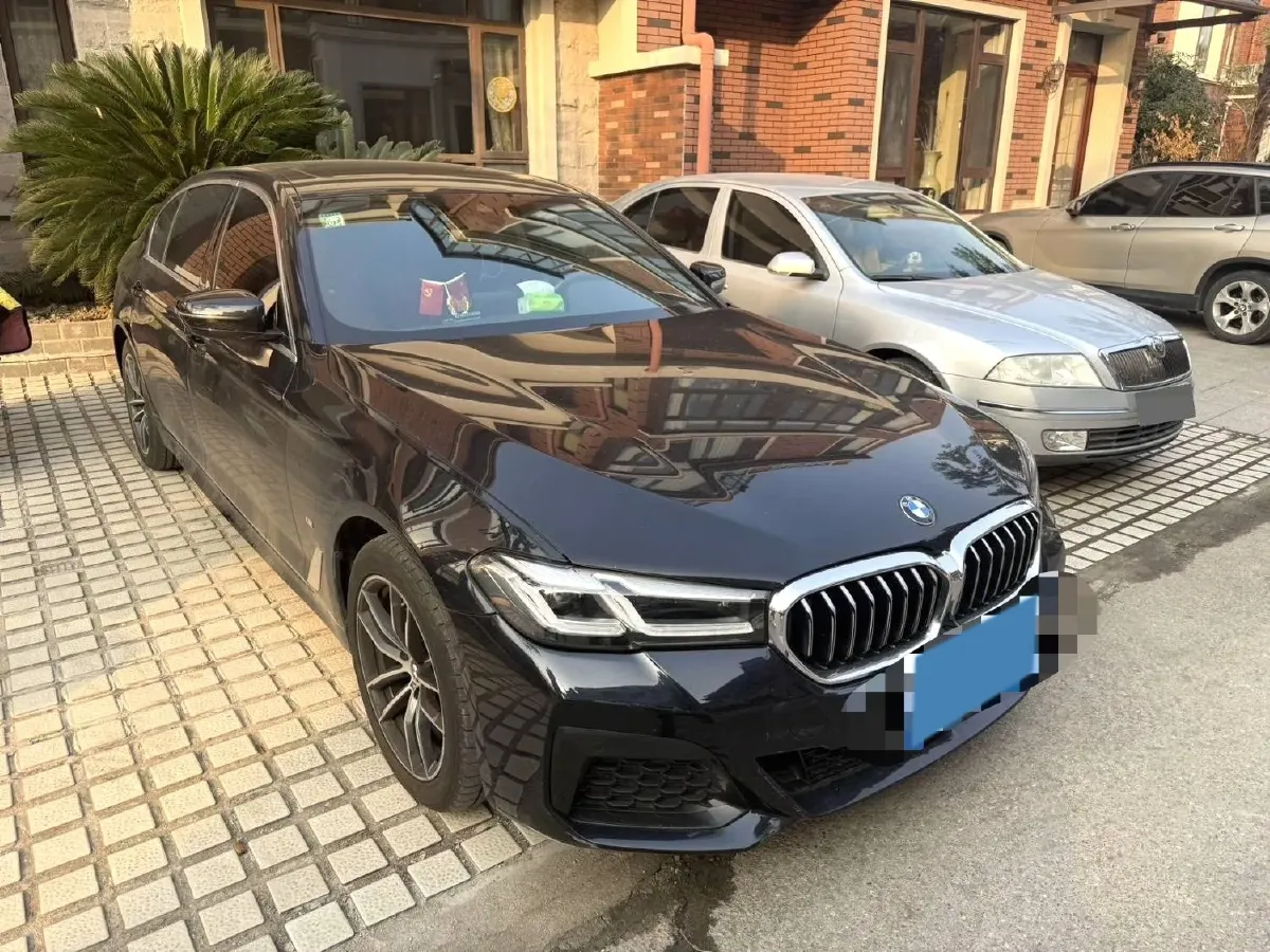 2022 BMW 5 Series 2.0T 184HP L4 8AT,autocango,china used car exporter,china ev exporter,chinese used car exporter,chinese used ev exporter