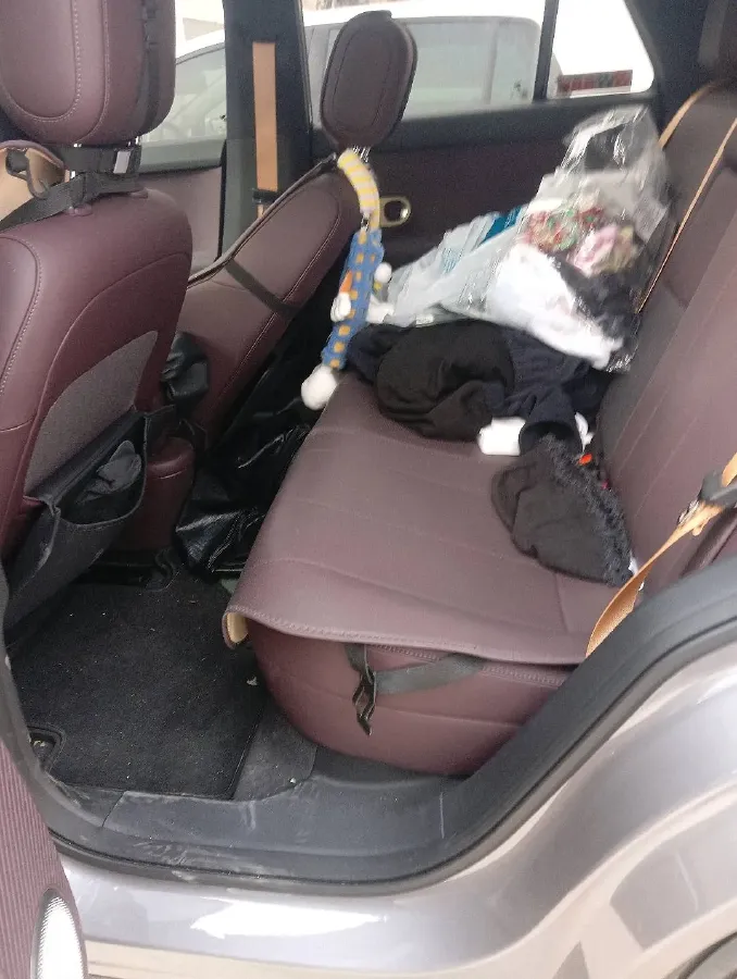 2025 Firefly Firefly BEV,autocango,china used car exporter,china ev exporter,chinese used car exporter,chinese used ev exporter