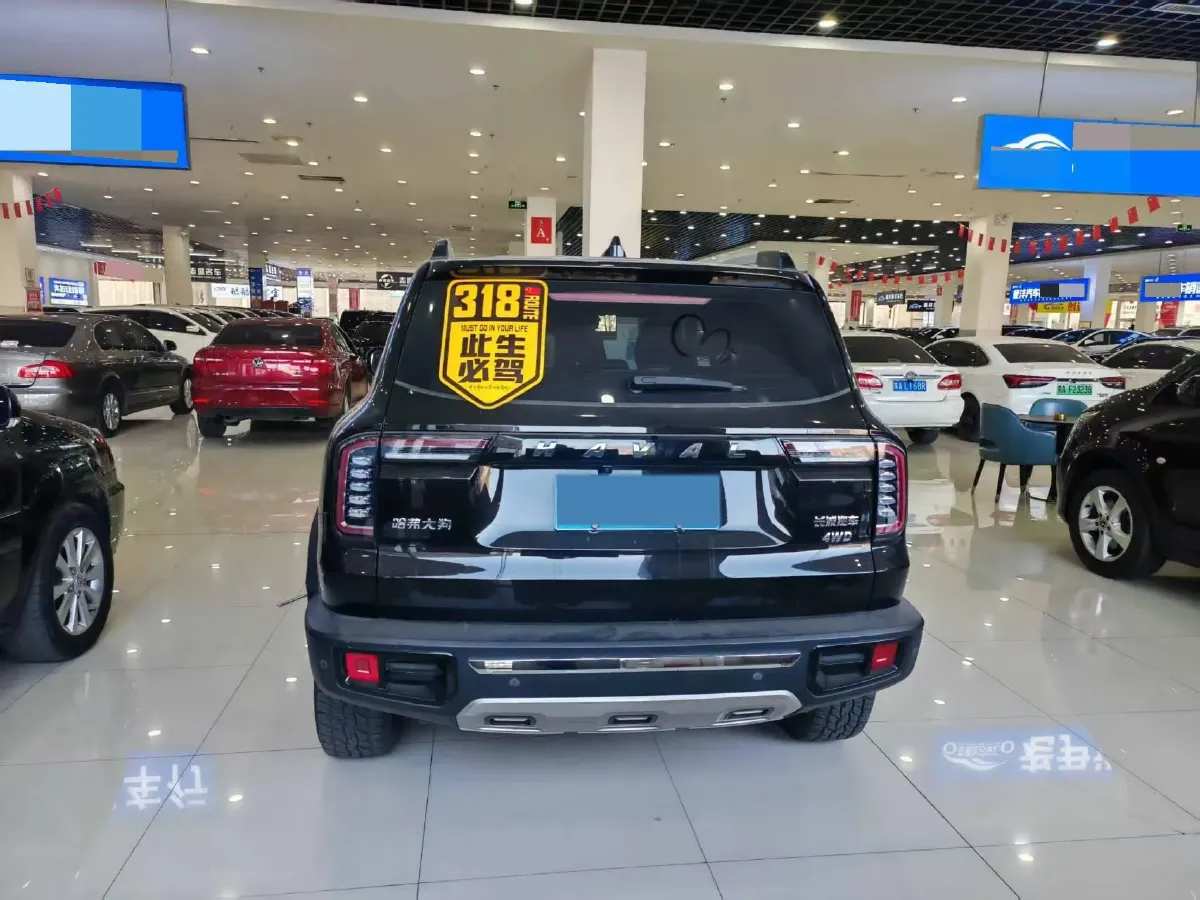 2021 Haval Dargo 2.0T 211HP L4 7DCT,autocango,china used car exporter,china ev exporter,chinese used car exporter,chinese used ev exporter