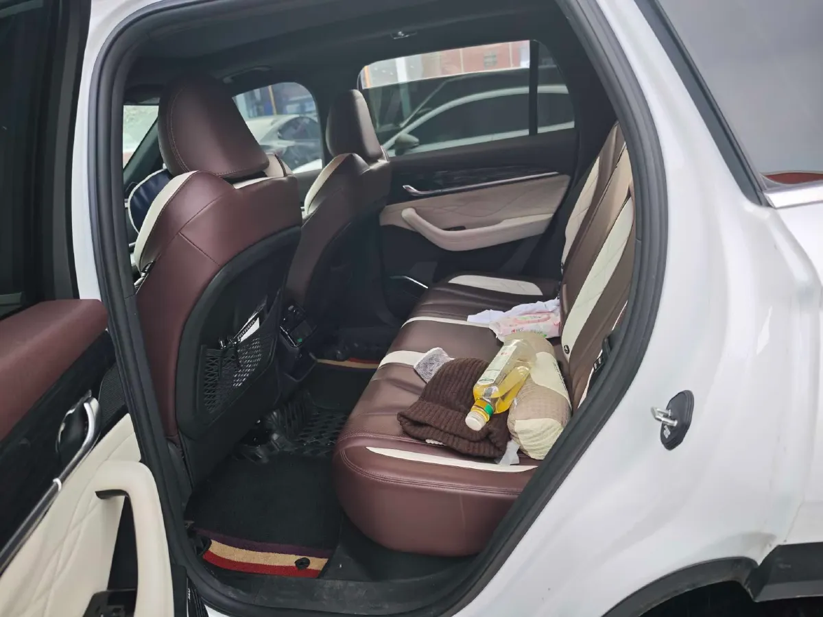 2023 Geely StarRay 2.0T 218HP L4 7DCT,autocango,china used car exporter,china ev exporter,chinese used car exporter,chinese used ev exporter