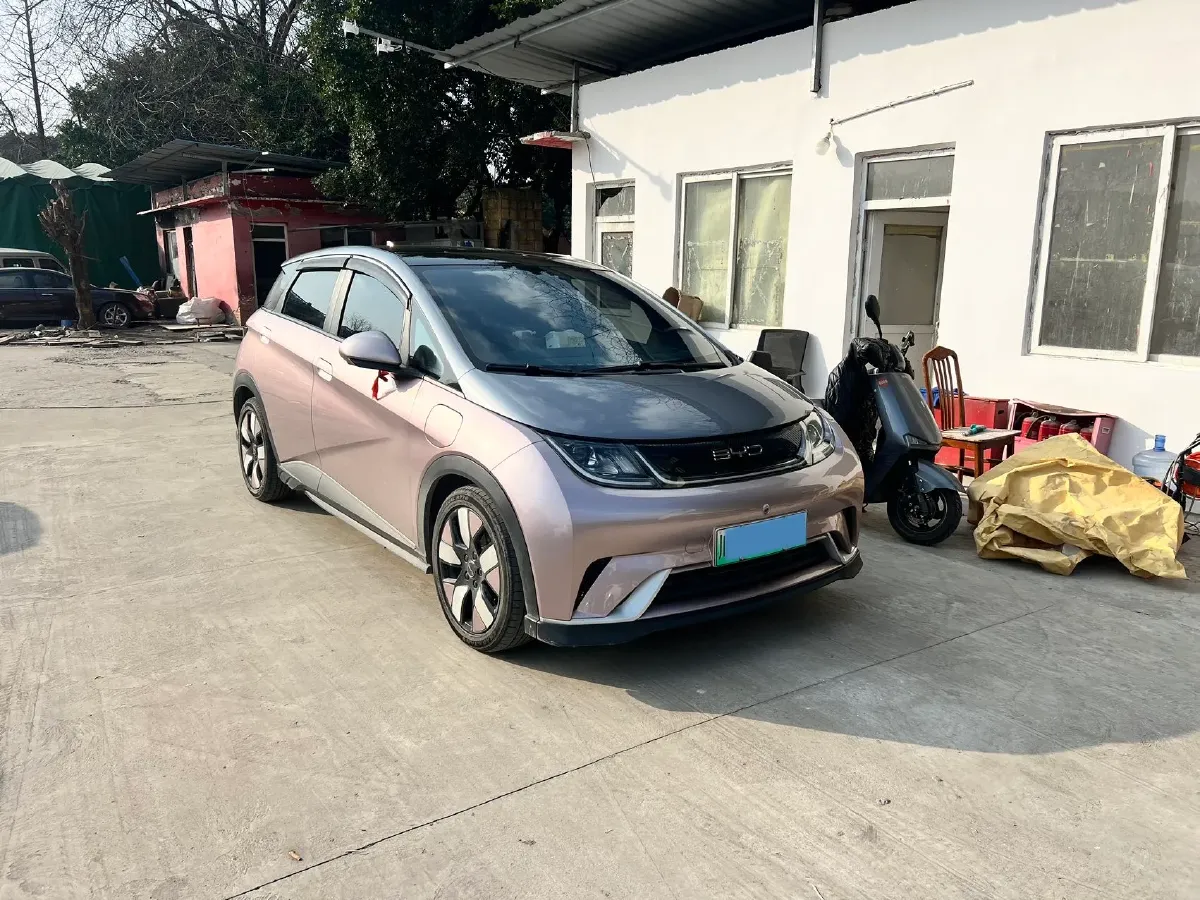 2021 BYD e2 BEV 43.2KWH,autocango,china used car exporter,china ev exporter,chinese used car exporter,chinese used ev exporter