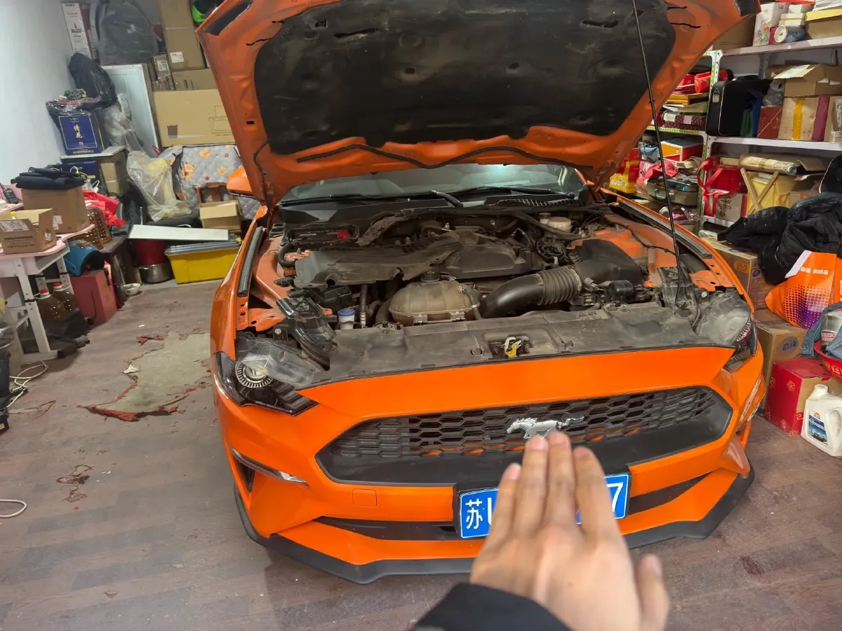 2020 Ford Mustang 2.3T 299HP L4 10AT,autocango,china used car exporter,china ev exporter,chinese used car exporter,chinese used ev exporter