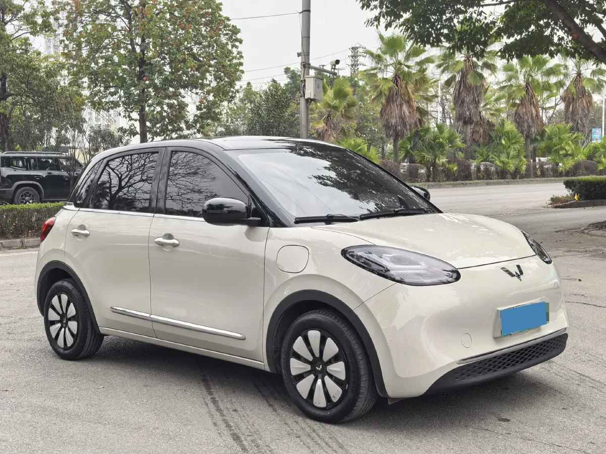 2023 WuLing BinGuo BEV 31.9KWH,autocango,china used car exporter,china ev exporter,chinese used car exporter,chinese used ev exporter