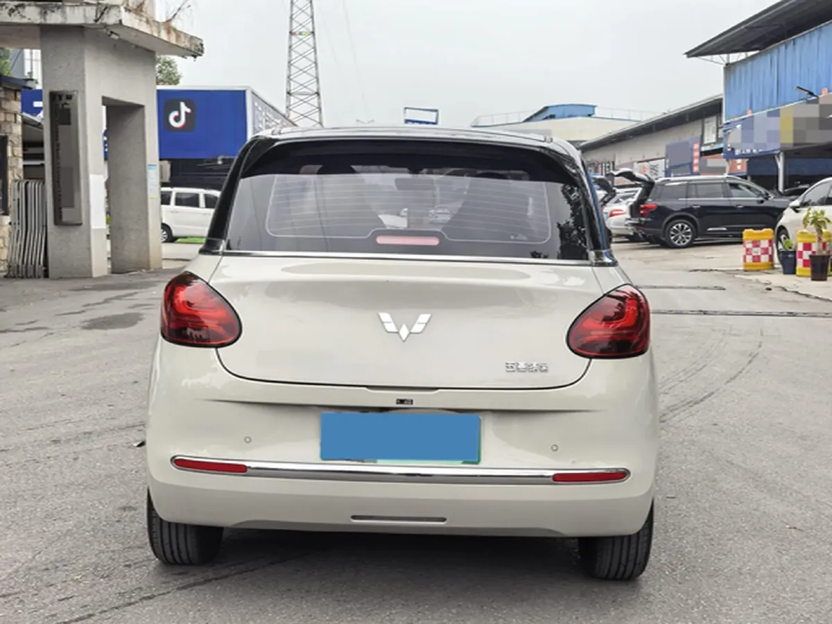 2023 WuLing BinGuo BEV 31.9KWH,autocango,china used car exporter,china ev exporter,chinese used car exporter,chinese used ev exporter