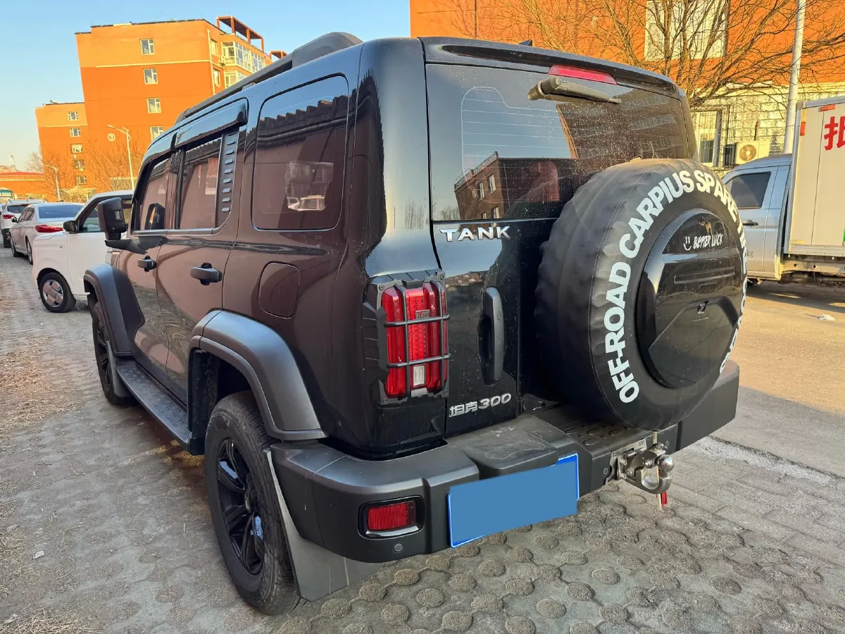 2024 Tank 300 2.0T 227HP L4 8AT,autocango,china used car exporter,china ev exporter,chinese used car exporter,chinese used ev exporter