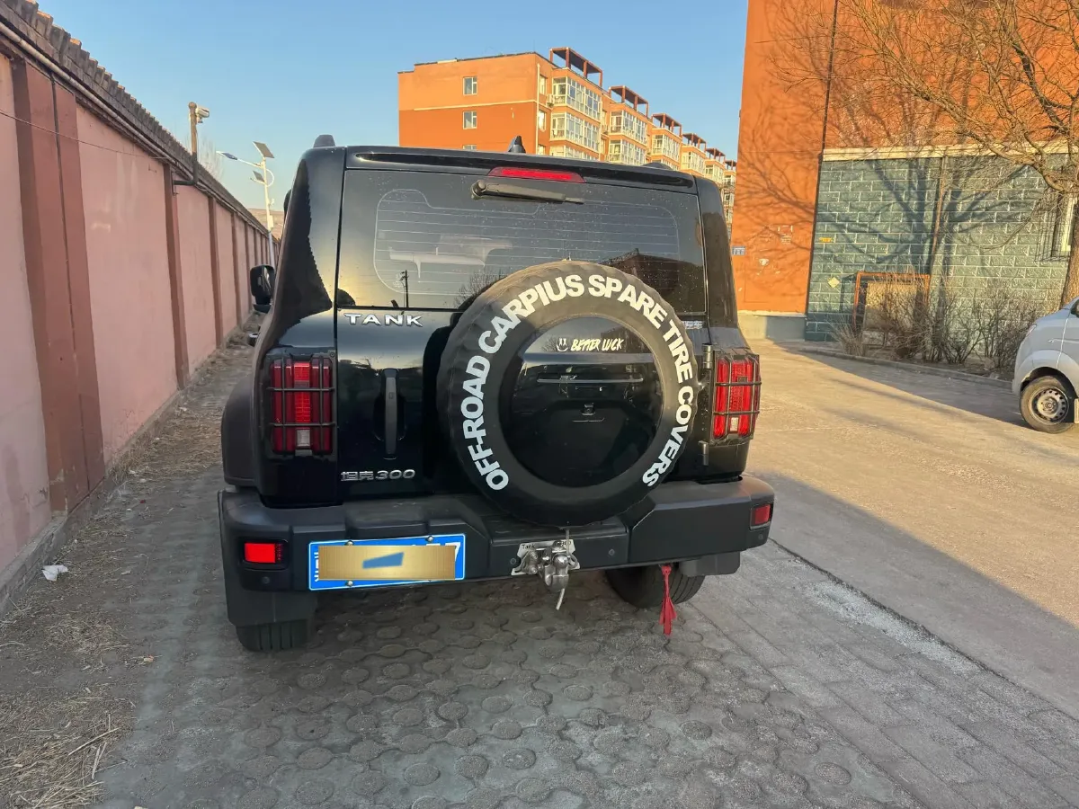 2024 Tank 300 2.0T 227HP L4 8AT,autocango,china used car exporter,china ev exporter,chinese used car exporter,chinese used ev exporter