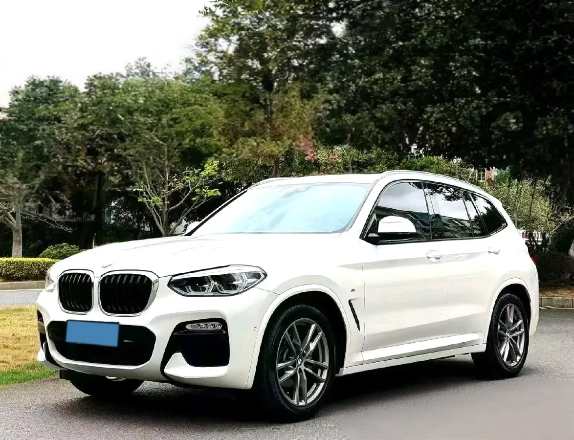 2020 BMW X3 2.0T 184HP L4 8AT,autocango,china used car exporter,china ev exporter,chinese used car exporter,chinese used ev exporter