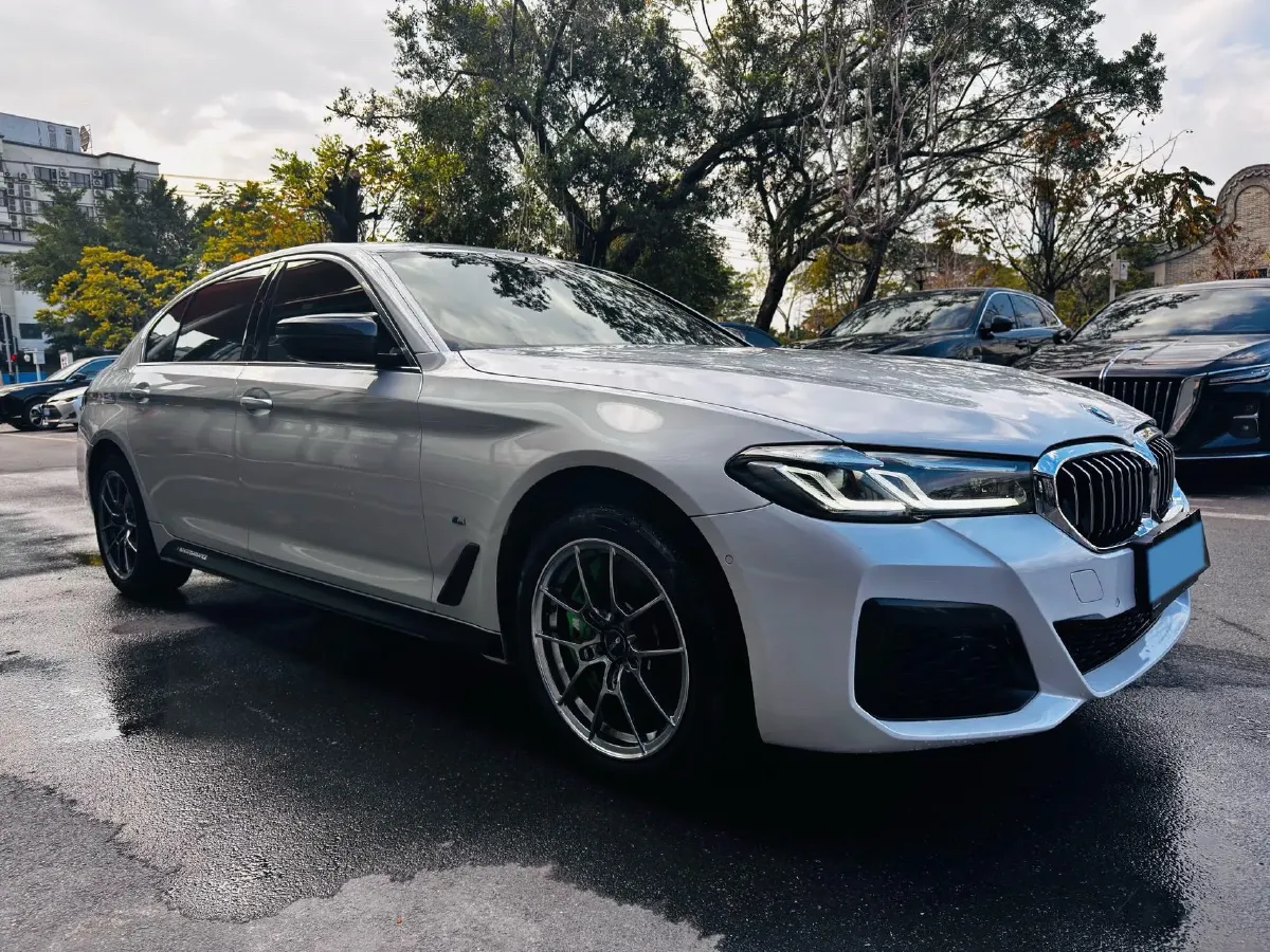 2021 BMW 5 Series 2.0T 184HP L4 8AT,autocango,china used car exporter,china ev exporter,chinese used car exporter,chinese used ev exporter